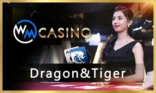 Mobile App for On-the-Go Gaming